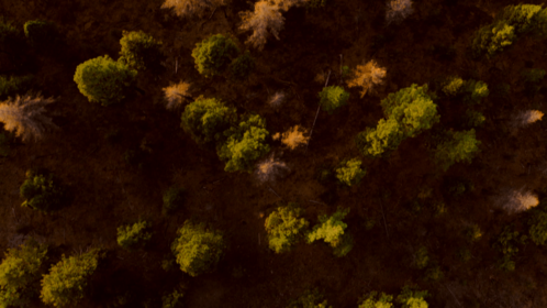 HD VFX