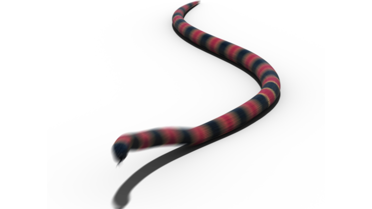 Download HD HD VFX of Coral Snake Moving HD VFX of Coral Snake Moving