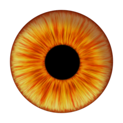Download Stock Image: Orange Fire Lens