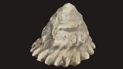 3D Ojbect